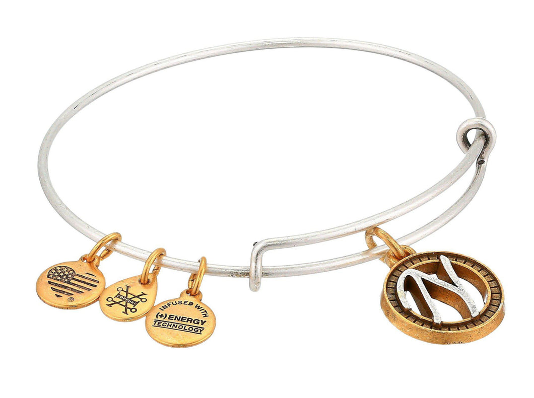 Alex and Ani, Two Tone Initial Bracelet letter N