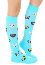 Compression Socks, Dog