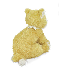 Bunnies By the Bay , Ally Cat