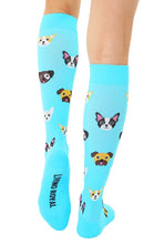 Compression Socks, Dog