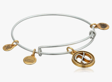Alex and Ani, Two Tone Initial Bracelet letter X