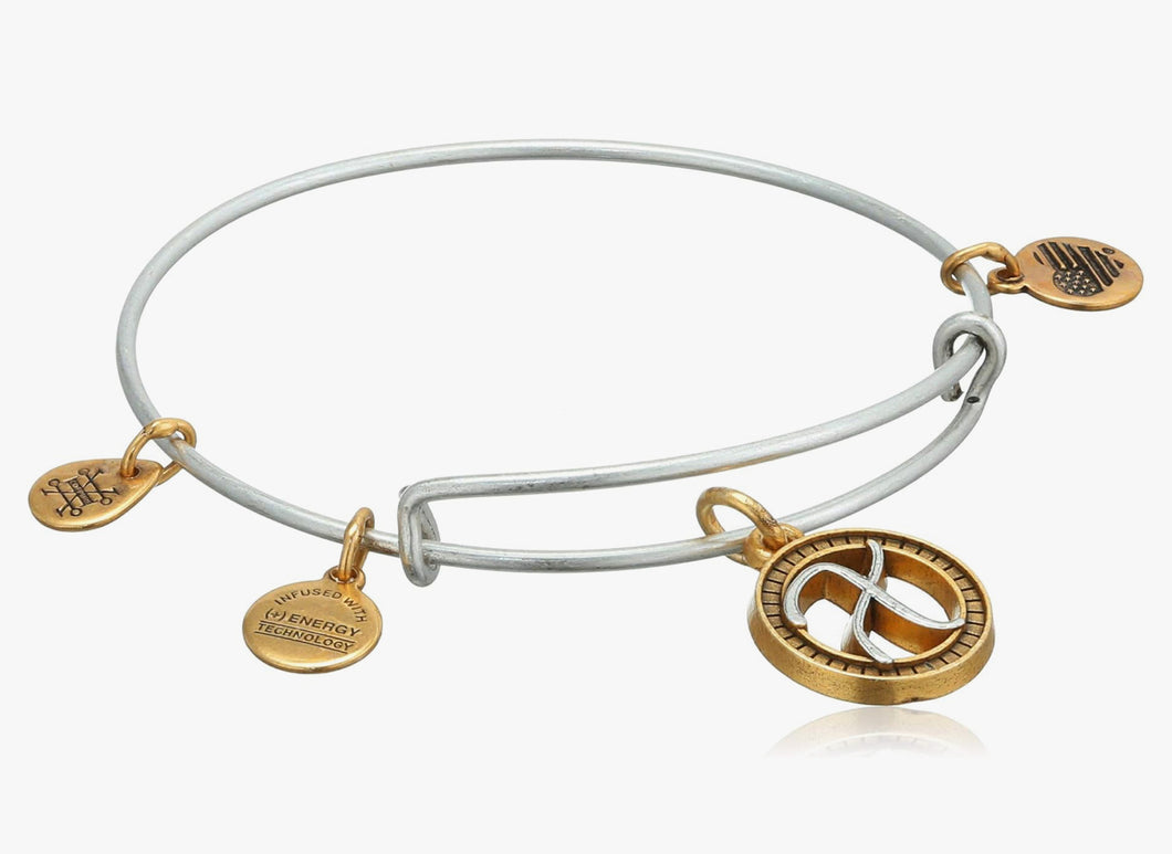 Alex and Ani, Two Tone Initial Bracelet letter X