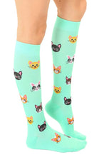 Compression Socks, Cat
