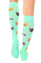 Compression Socks, Cat