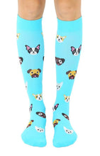 Compression Socks, Dog