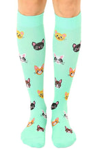 Compression Socks, Cat