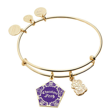 Alex and Ani- Harry Potter Chocolate Frogs