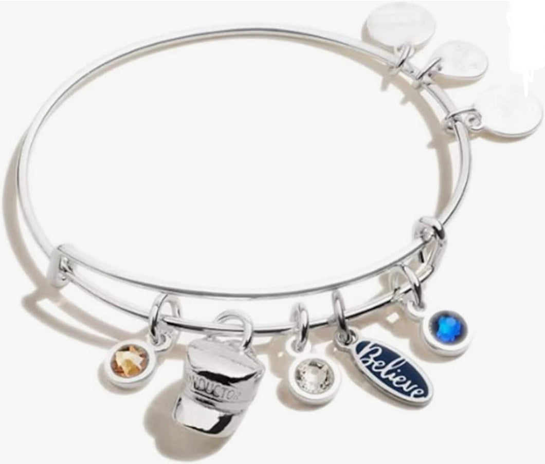 Alex and Ani Polar Express Multi Charm