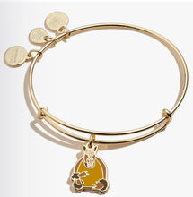 Alex and Ani Friends Armadillo