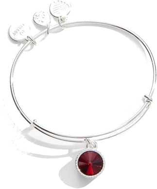 Alex and Ani Birthstone