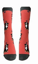 Pet Lover Socks