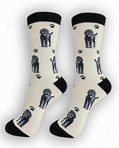 Pet Lover Socks