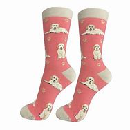 Pet Lover Socks