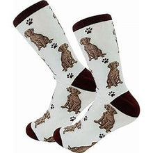 Pet Lover Socks