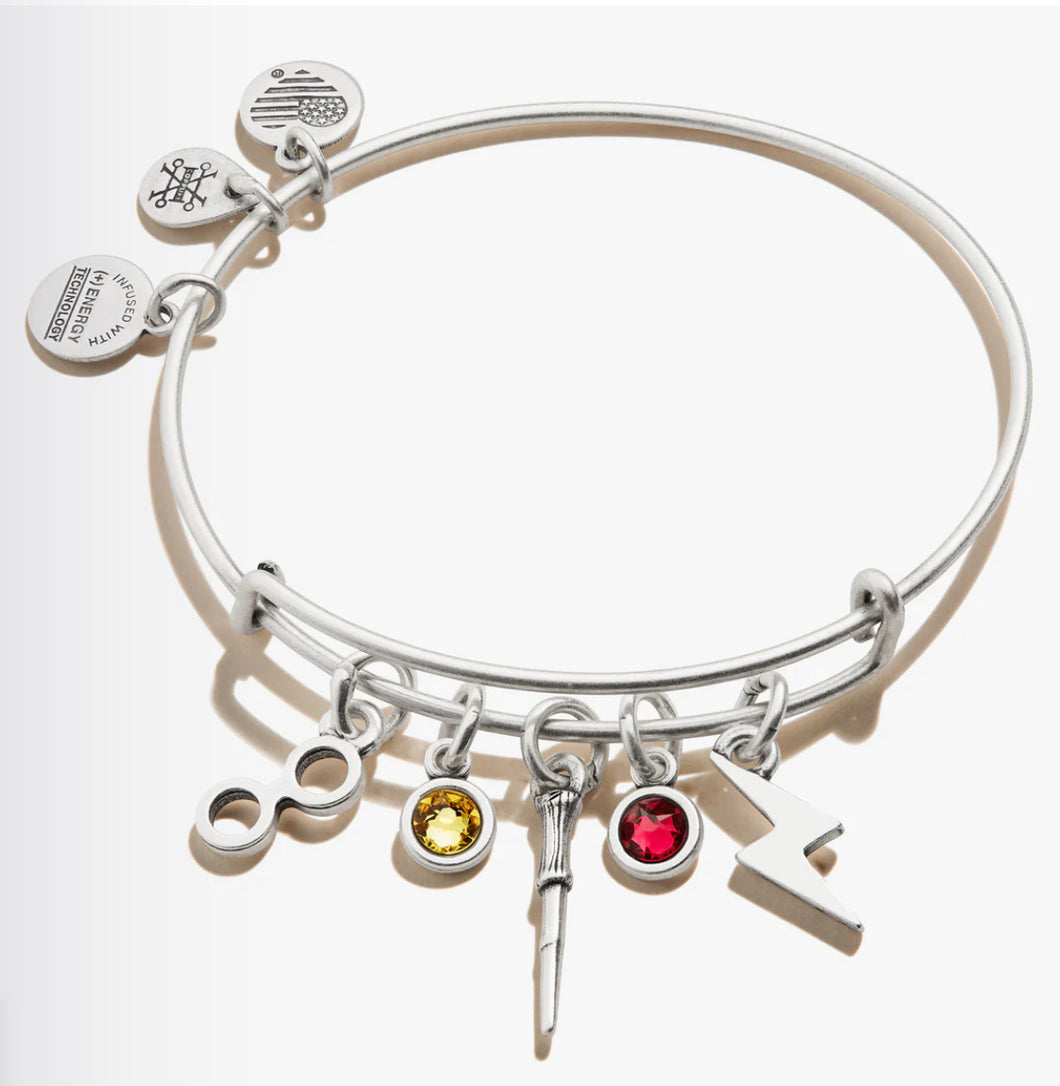 Alex and Ani Harry Potter™ Character Multi-Charm Bangle