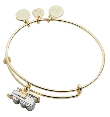 Alex and Ani Train