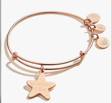 Alex and Ani Wish Upon A Star Bangle