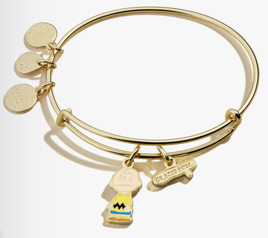 Alex and Ani Peanuts™ Charlie Brown 'Oh, Good Grief' Duo Charm Bangle