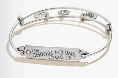 Alex and Ani Harry Potter™ 'The Chosen One' Inline Charm Bangle