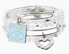 Alex and Ani Set of 5 Family Bracelets