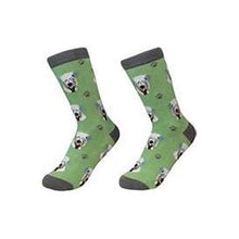 Pet Lover Socks